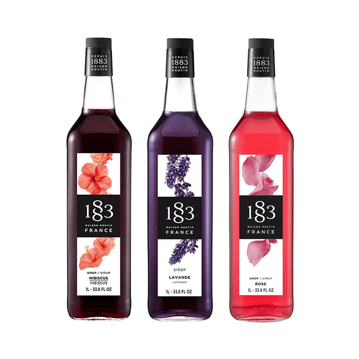 1883 SYRUPS Trio Pack | BOTANICAL BLOOM Lavender, Hibiscus, Rose