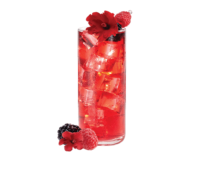 Organic Wildberry Hibiscus (1 Gallon) Iced Tea Pouches (100ct) by Mighty Leaf Tea | Mighty Leaf Iced Tea - 100ct | Good as Gold Coffee