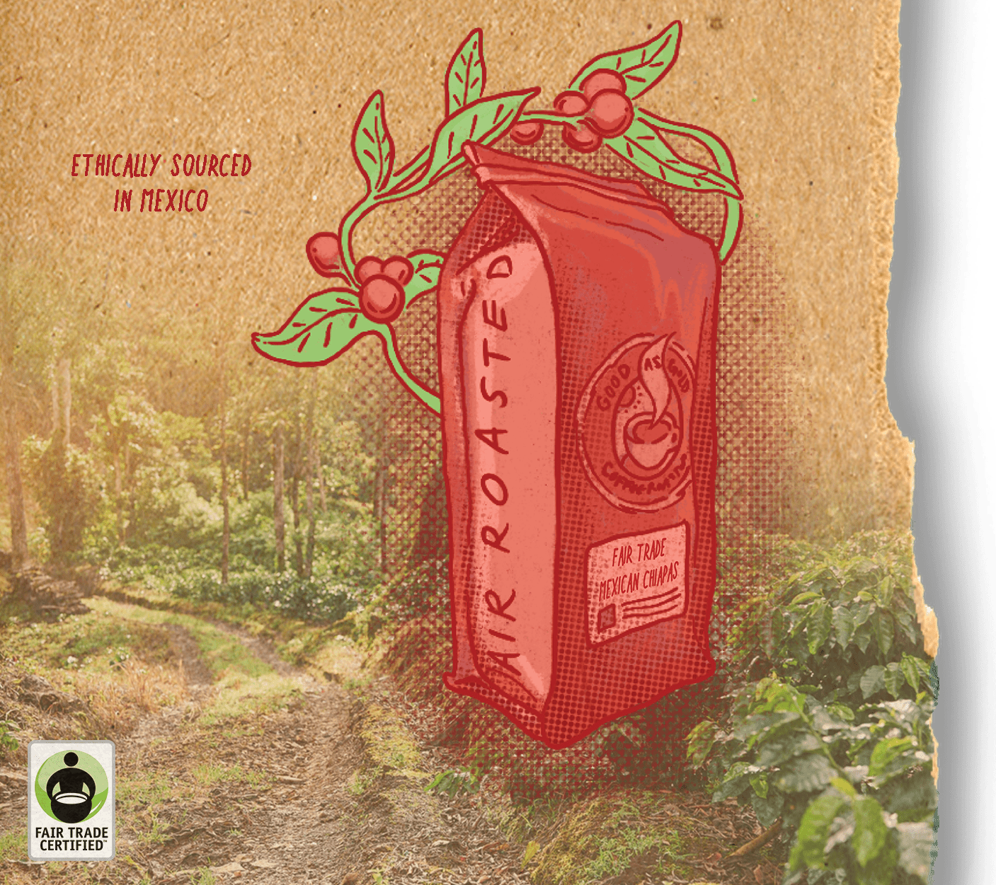 Fair Trade Mexican Chiapas (Medium Roast) by Good as Gold | Coffee Beans - Single Origin | Good as Gold Coffee