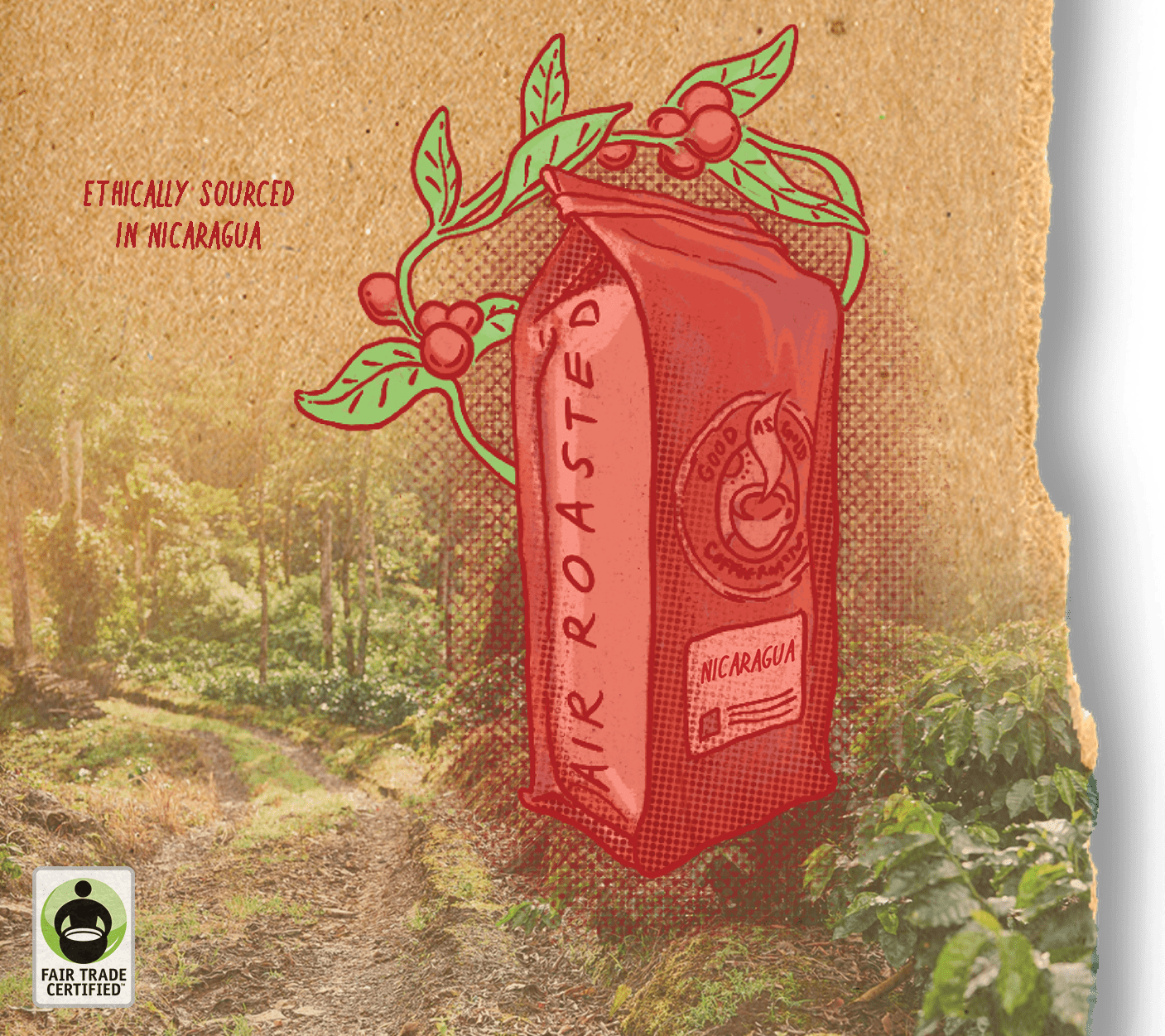 Nicaragua (Medium Roast) by Good as Gold | Coffee Beans - Single Origin | Good as Gold Coffee