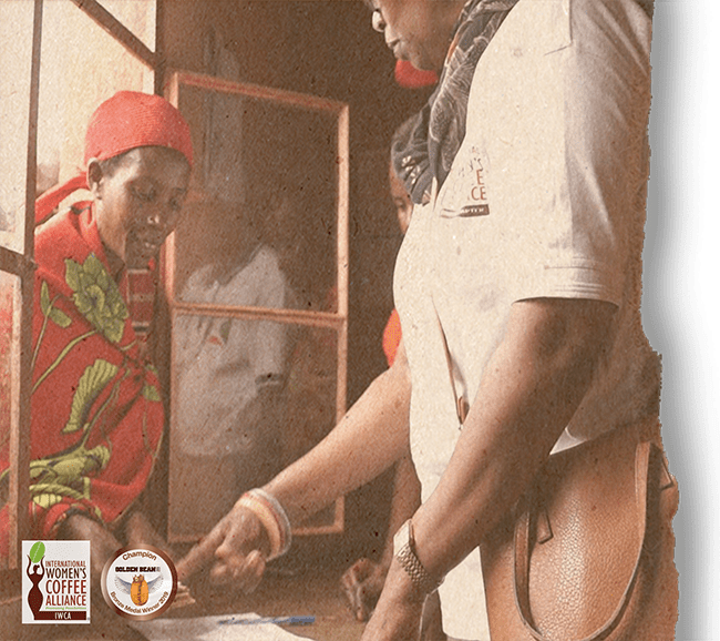 Burundi Kinyovu (Women Produced) by Airis Coffee Roasters | Airis - Coffee Beans | Good as Gold Coffee