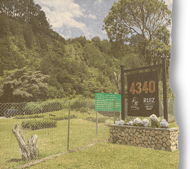 Panama Boquete - Finca La Santa by Airis Coffee Roasters | Airis - Coffee Beans | Good as Gold Coffee