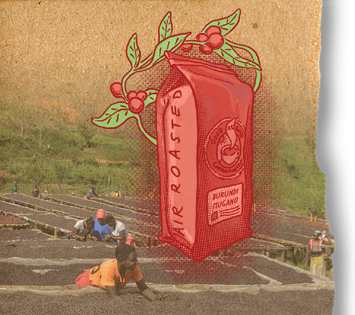 Burundi Mugano (Light Roast) by Good as Gold | Coffee Beans - Single Origin | Good as Gold Coffee