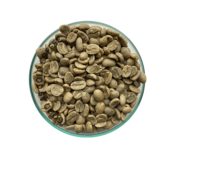 Colombian Supremo by Good as Gold | Unroasted Coffee Beans | Good as Gold Coffee