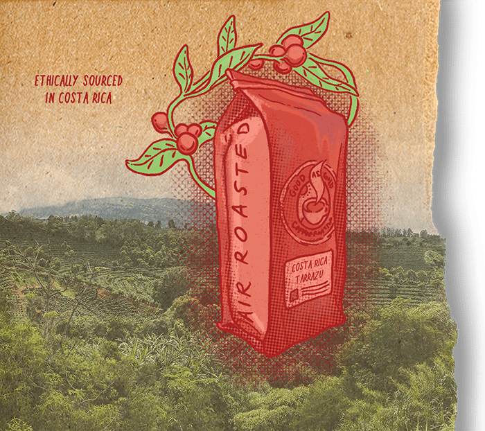 Costa Rica Tarrazu (Medium Roast) by Good as Gold | Coffee Beans - Single Origin | Good as Gold Coffee