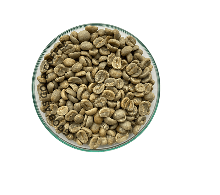 Costa Rica Tarrazu Rubies by Good as Gold | Unroasted Coffee Beans | Good as Gold Coffee