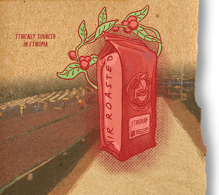 Ethiopian (Light / Medium Roast) by Good as Gold | Coffee Beans - Single Origin | Good as Gold Coffee