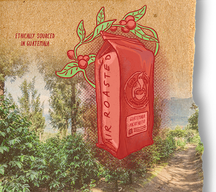 Guatemala (Medium Roast) by Good as Gold | Coffee Beans - Single Origin | Good as Gold Coffee