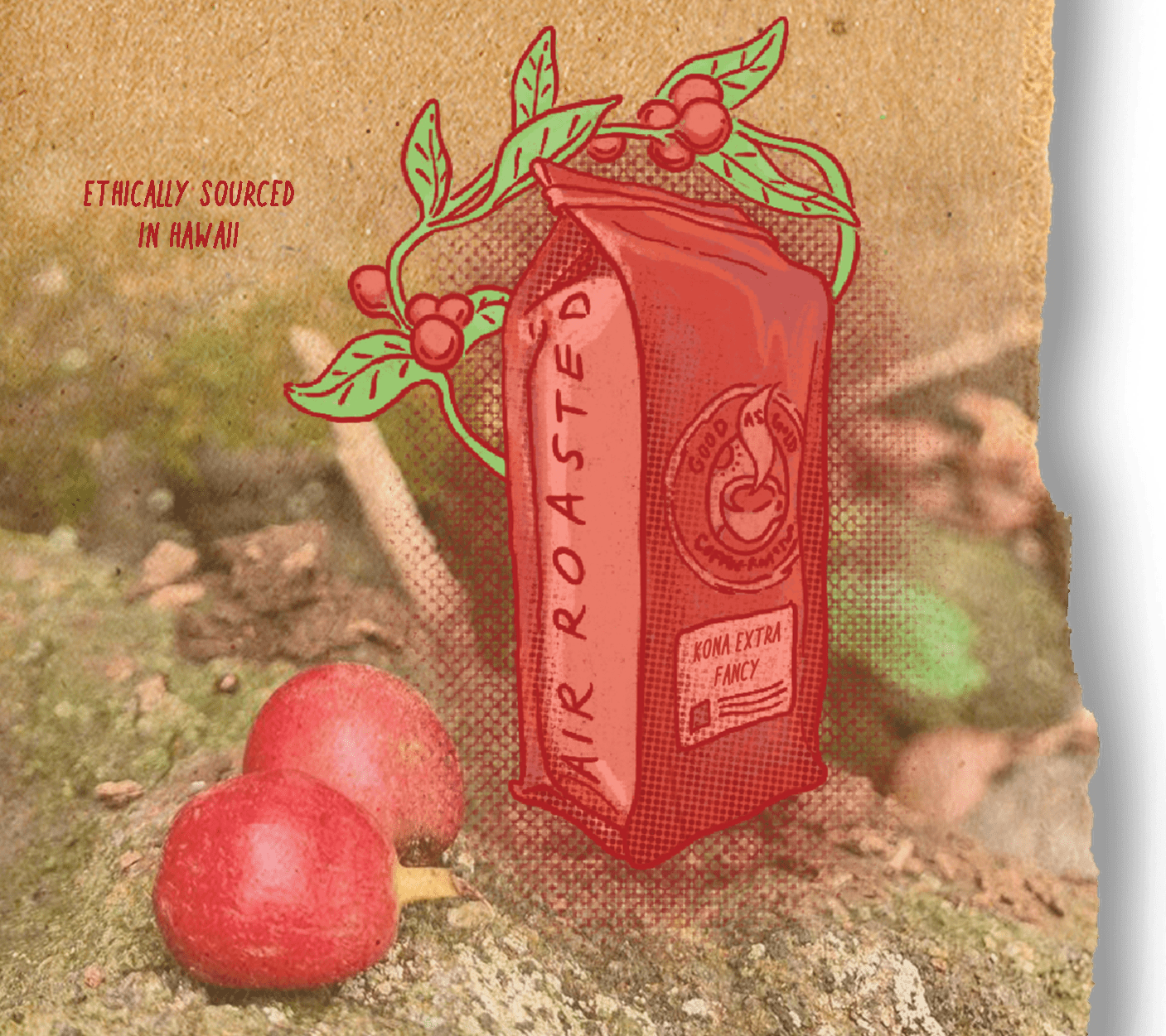 100% Kona Extra Fancy by Good as Gold | Coffee Beans - Single Origin | Good as Gold Coffee