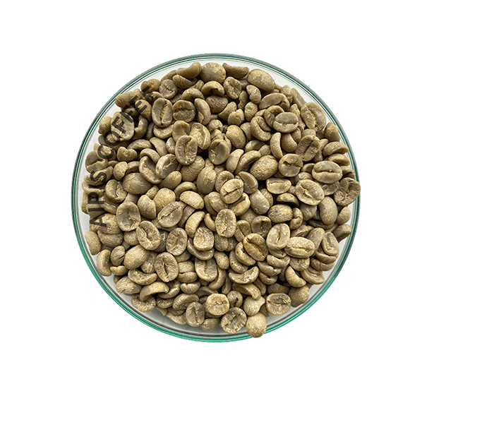Panama Boquete Finca La Santa Green Coffee Beans by Good as Gold | Unroasted Coffee Beans | Good as Gold Coffee
