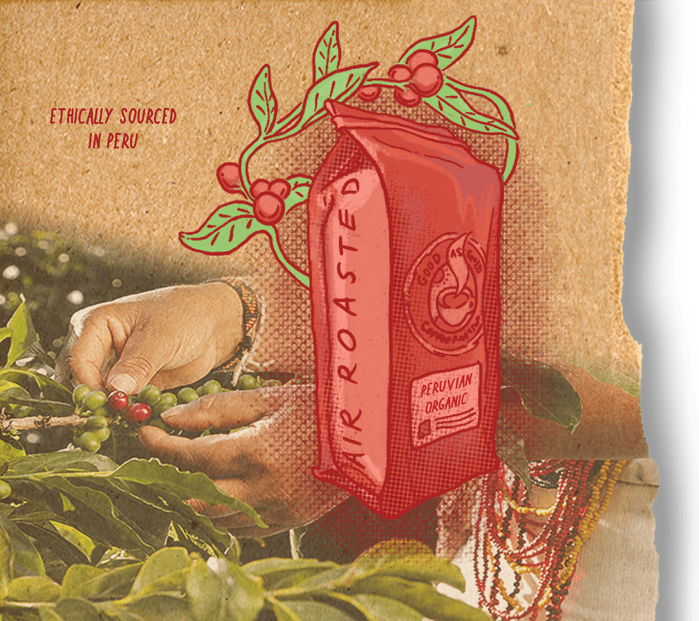 Organic Peru Dark Roast (Dark Roast) by Good as Gold | Coffee Beans - Single Origin | Good as Gold Coffee