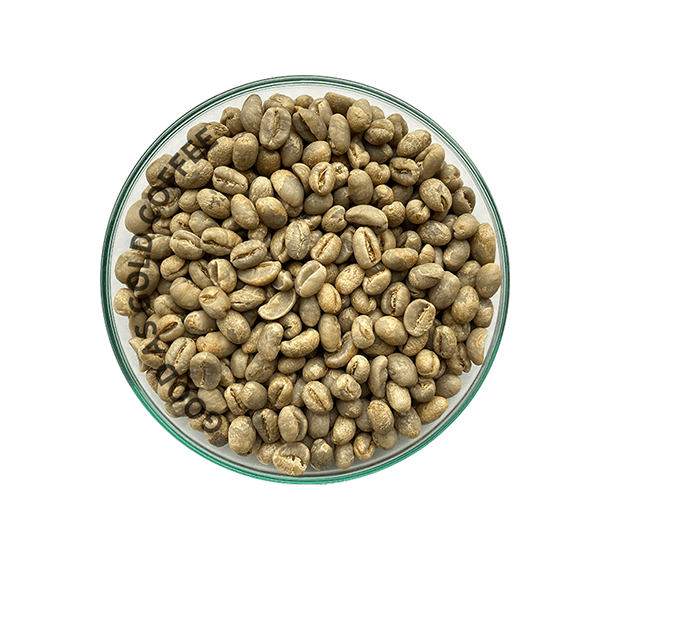 Tanzania Peaberry Unroasted Green Coffee Beans by Good as Gold | Unroasted Coffee Beans | Good as Gold Coffee