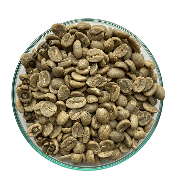 Colombian Supremo by Good as Gold | Unroasted Coffee Beans | Good as Gold Coffee