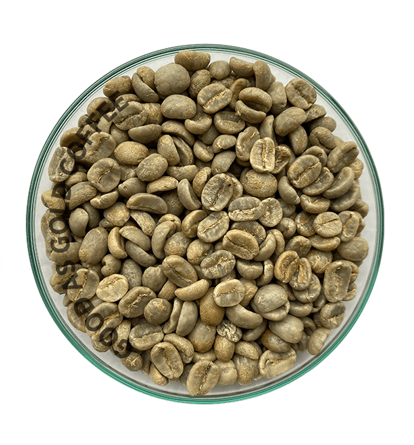 Costa Rica Tarrazu Rubies by Good as Gold | Unroasted Coffee Beans | Good as Gold Coffee