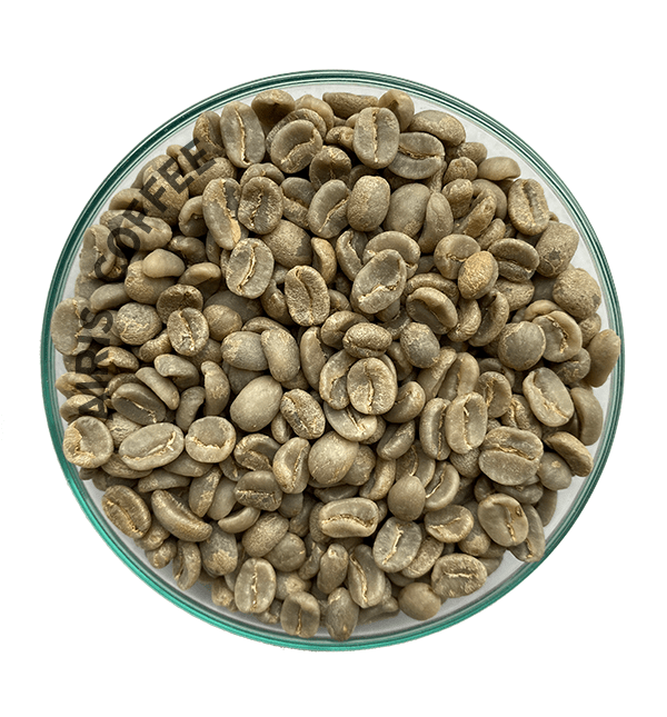 Guatemala Huehuetenango (Fair Trade / Organic) Green Coffee by Good as Gold | Unroasted Coffee Beans | Good as Gold Coffee