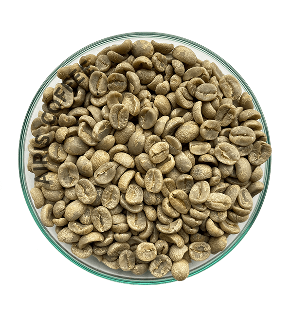 Panama Boquete Finca La Santa Green Coffee Beans by Good as Gold | Unroasted Coffee Beans | Good as Gold Coffee