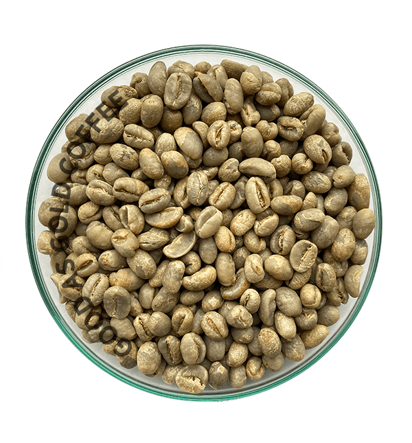 Tanzania Peaberry Unroasted Green Coffee Beans by Good as Gold | Unroasted Coffee Beans | Good as Gold Coffee